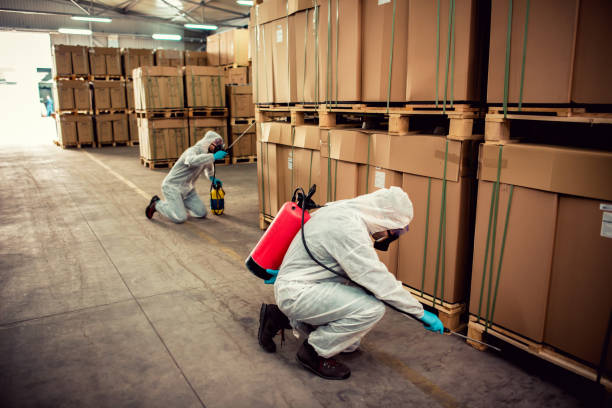 Best Affordable Pest Control Services  in Woodville, AL