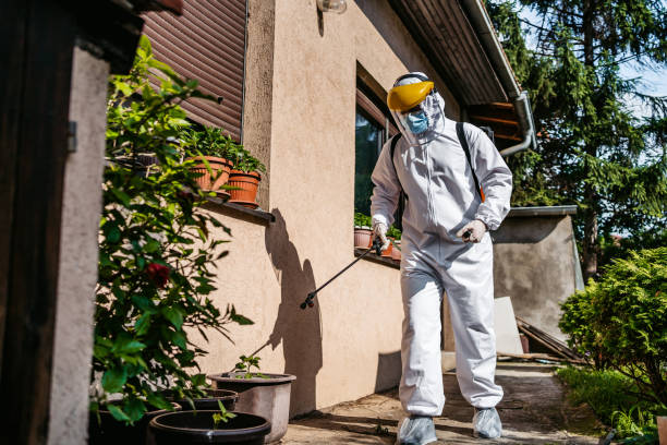 Best Residential Pest Control  in Woodville, AL