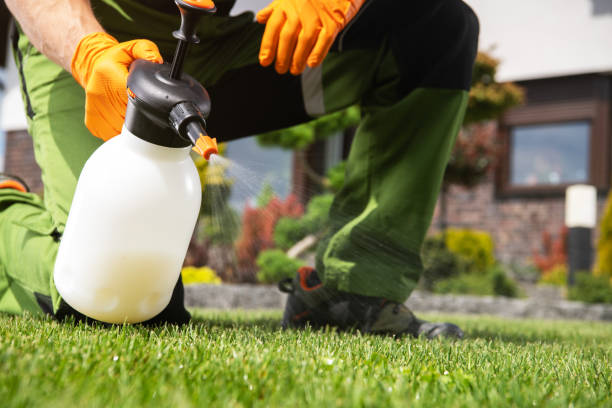 Trusted Woodville, AL Pest Control Experts