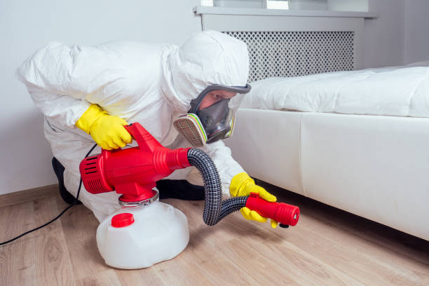 Best Local Pest Control Services  in Woodville, AL
