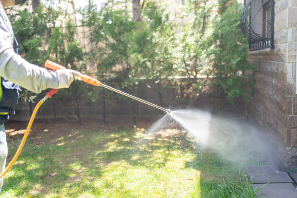 Best Pest Prevention Services  in Woodville, AL