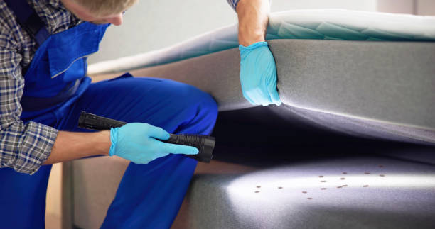 Best Mosquito Control Services  in Woodville, AL
