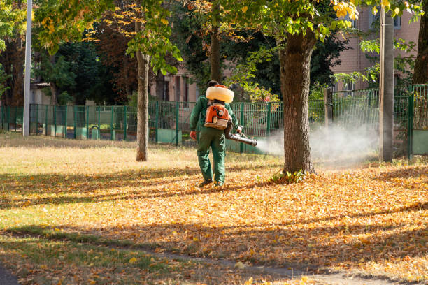 Best Emergency Pest Control  in Woodville, AL