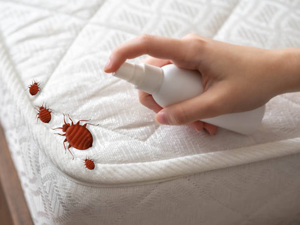 Best Cockroach Control Services  in Woodville, AL