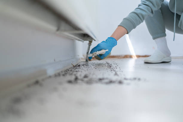 Best Exterminator Services  in Woodville, AL
