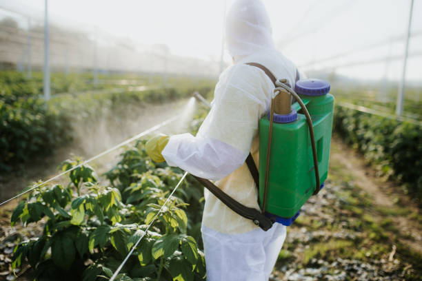 Best Wildlife Control Services  in Woodville, AL